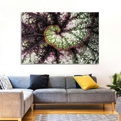 Begonia Leaf Spiral Geometry Wall Art