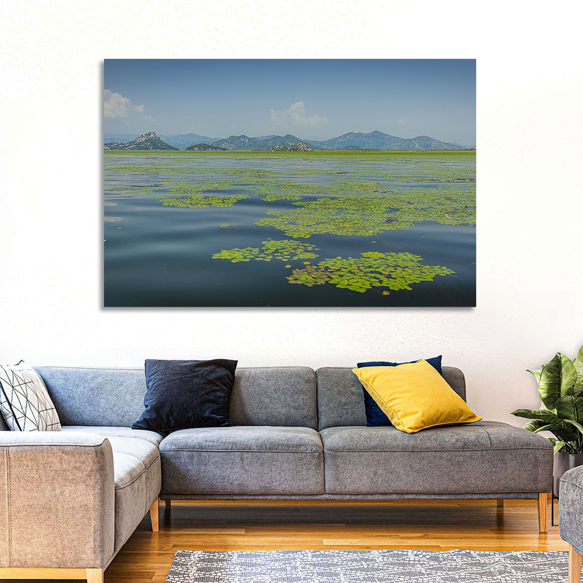 Lake Skadar Water Lilies Wall Art in a room, landscape