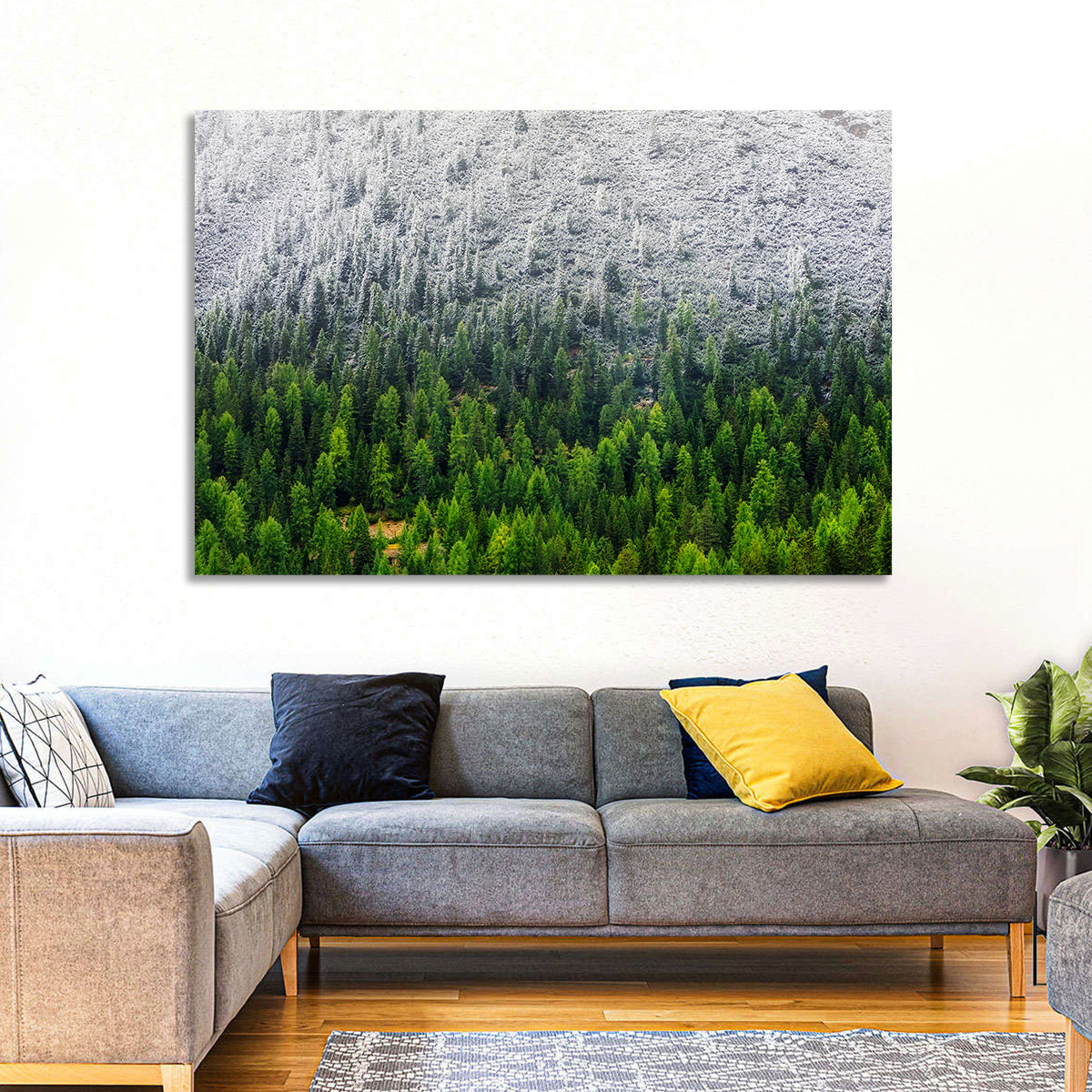 Snowy Dolomites Forest Wall Art in a room, landscape