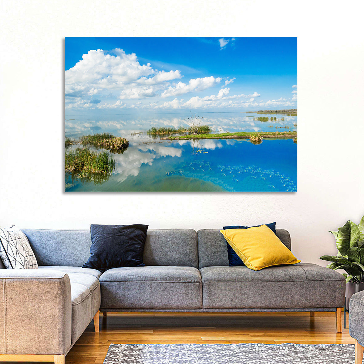 Lake Apopka Reflection Wall Art