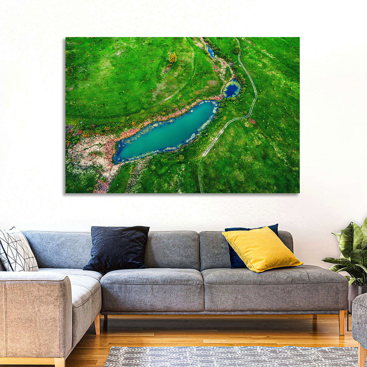 Meadows Lake Aerial Wall Art in a room, landscape