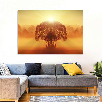 Golden Haze Tree at Sunset Wall Art