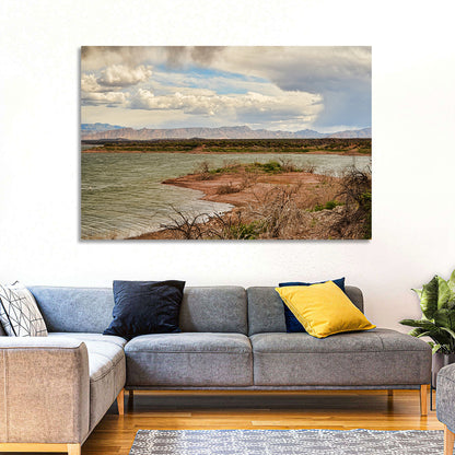 Roosevelt Lake Shoreline Wall Art