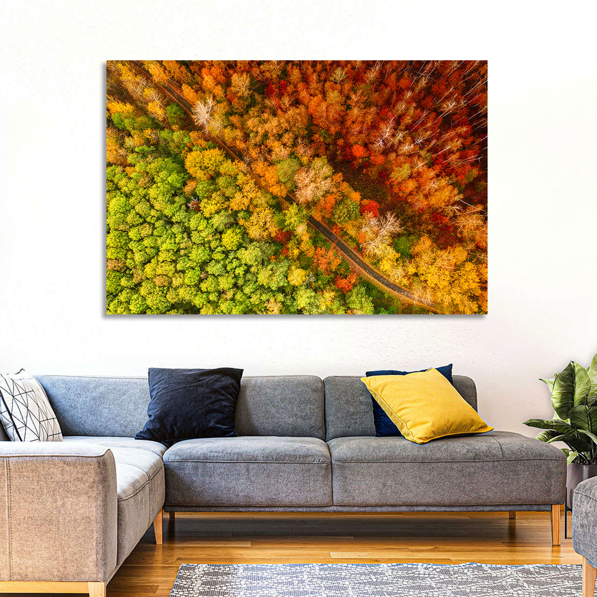 Winding Road Through Autumn Forest Wall Art