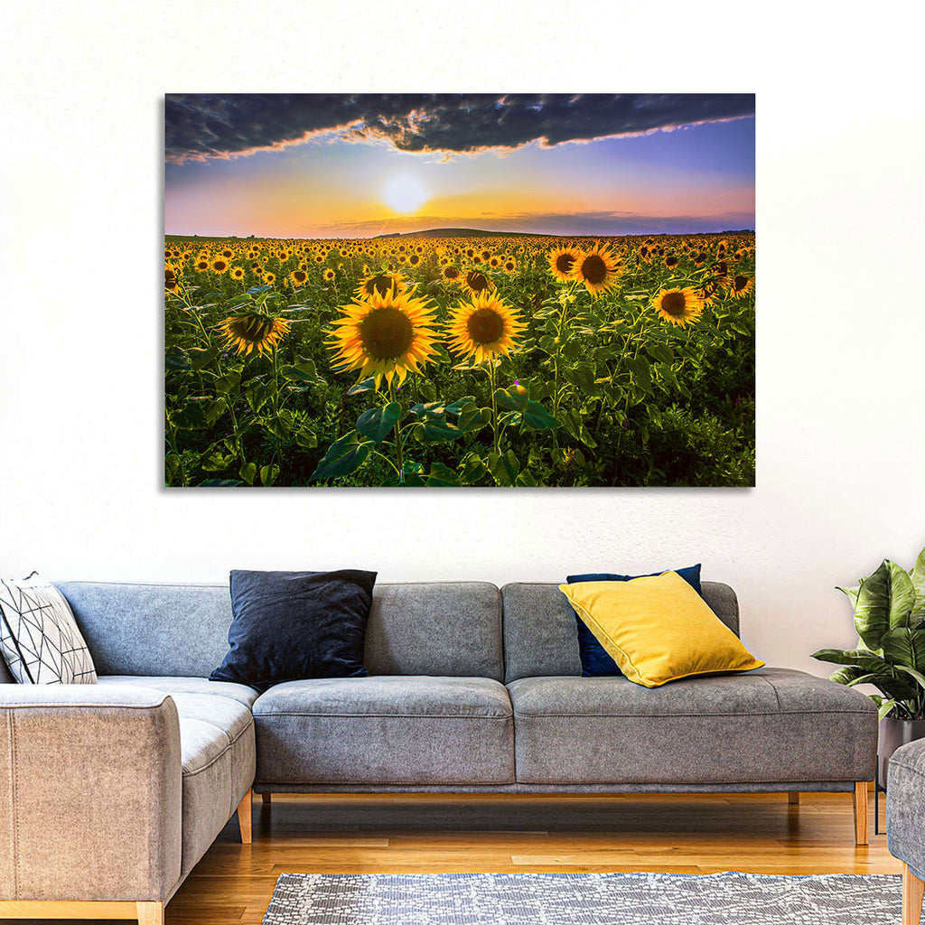 Sunflower Field at Golden Hour Wall Art