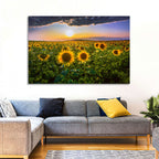Sunflower Field at Golden Hour Wall Art