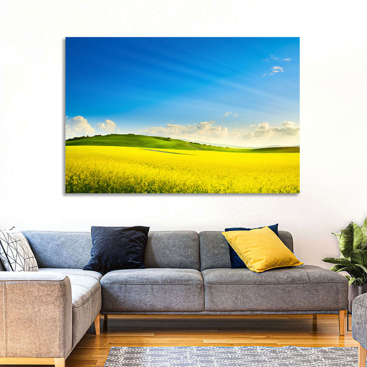 Rapeseed Field and Rolling Hills Under Blue Sky Wall Art in a room, landscape