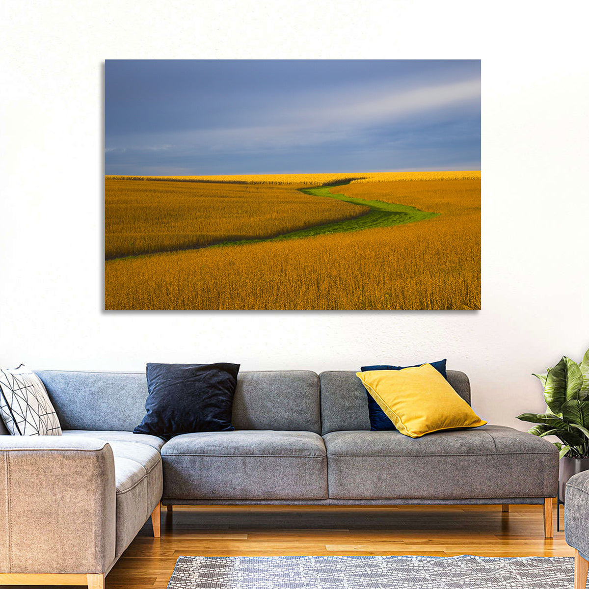 Golden Hour Soybean Field Wall Art