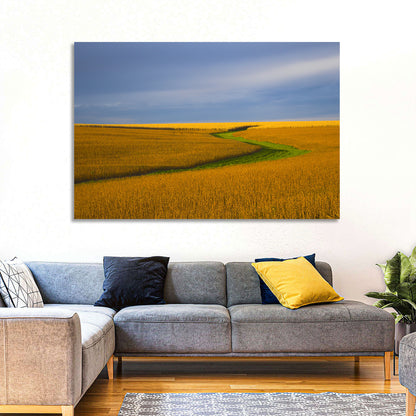 Golden Hour Soybean Field Wall Art