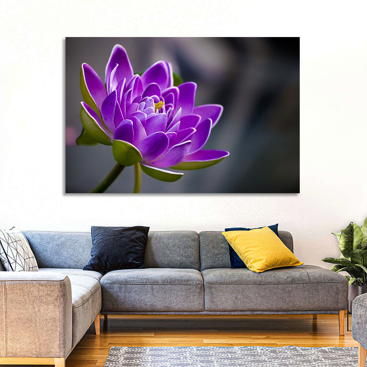 Purple Water Lily Close-up Wall Art in a room, landscape