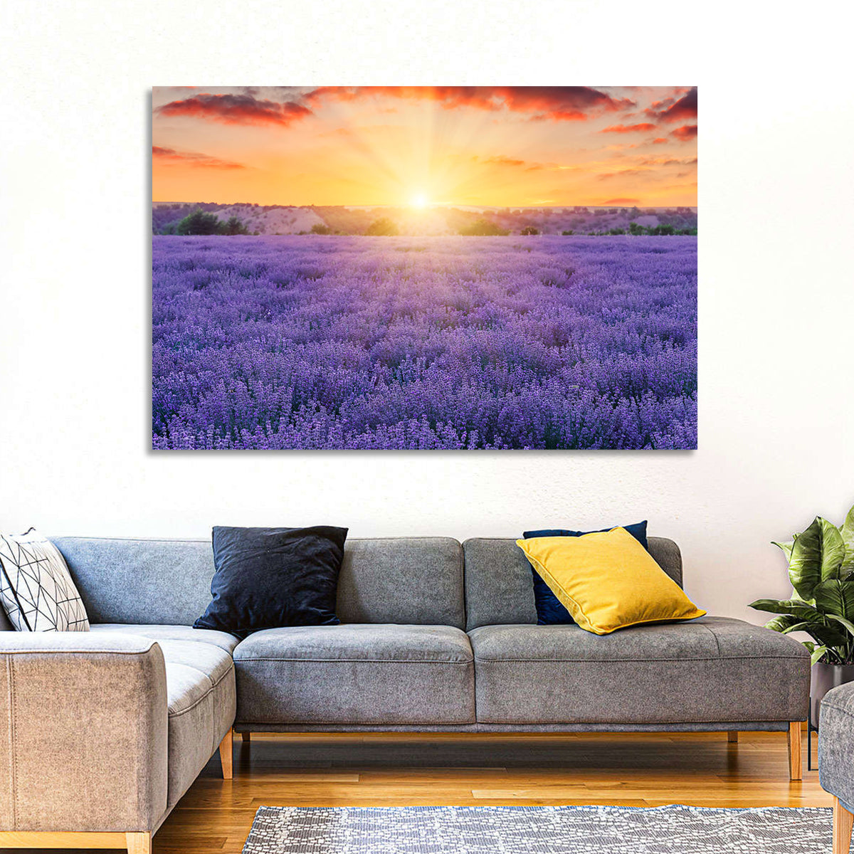 Lavender Field Sunburst Wall Art