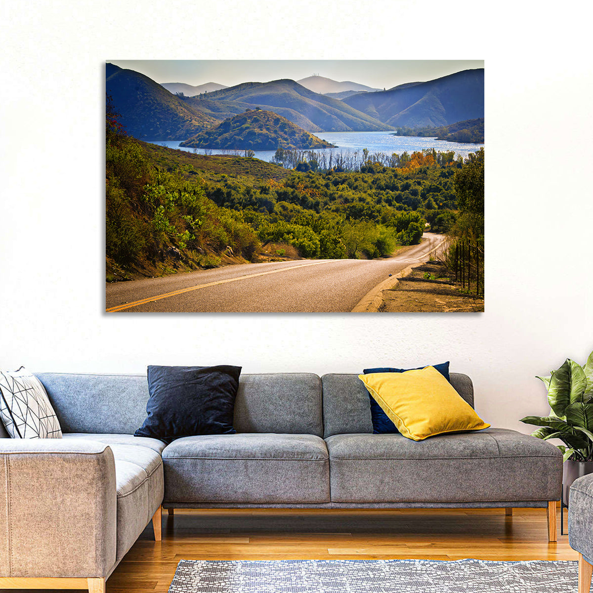 Lake Hodges Roadside Vista Wall Art