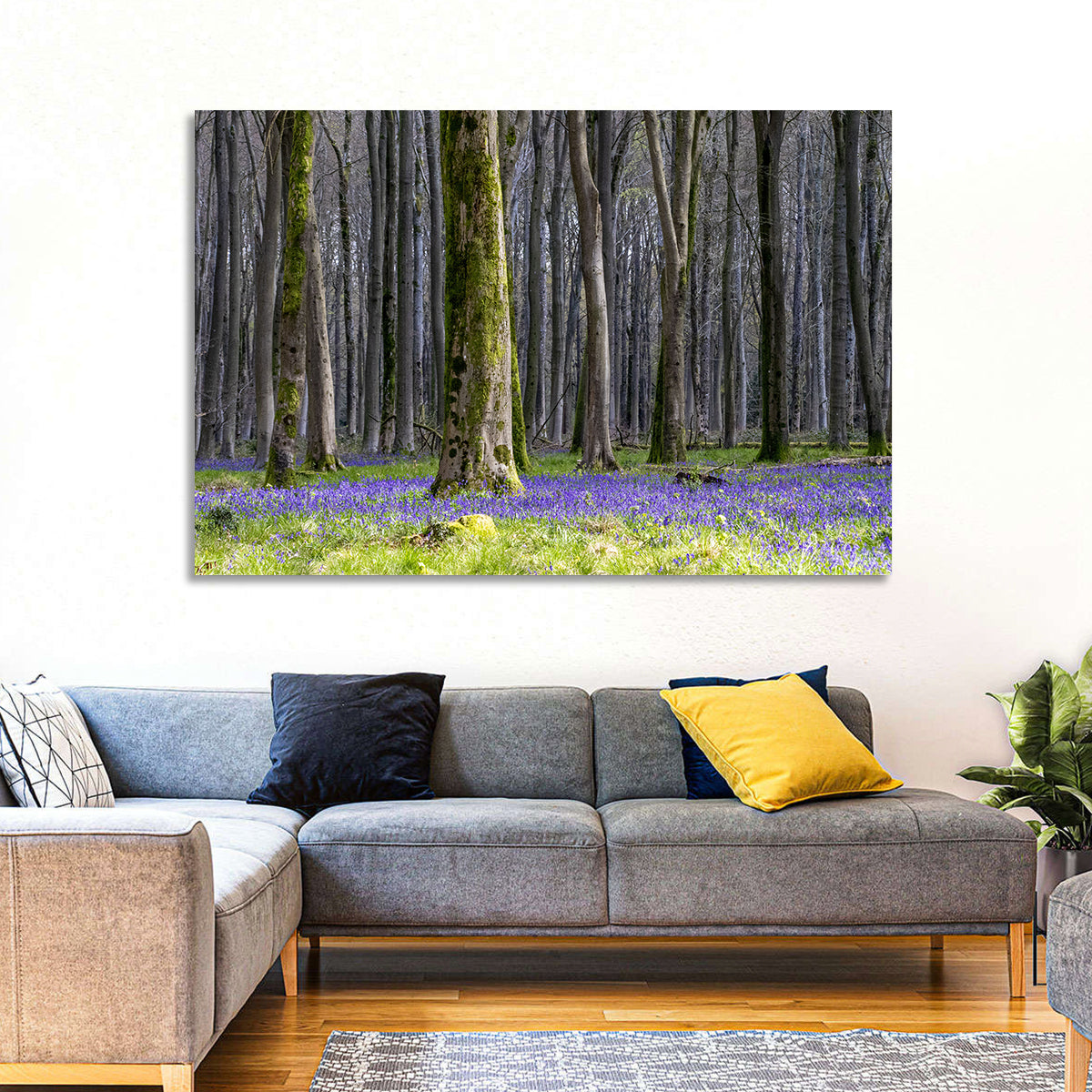 Bluebell Beechwood Grove Wall Art in a room, landscape