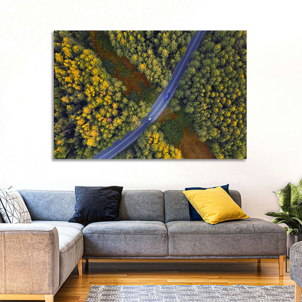 Aerial Autumn Forest Road Wall Art