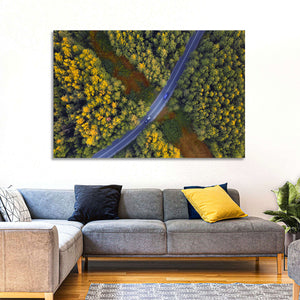 Autumn Forest Road Wall Art