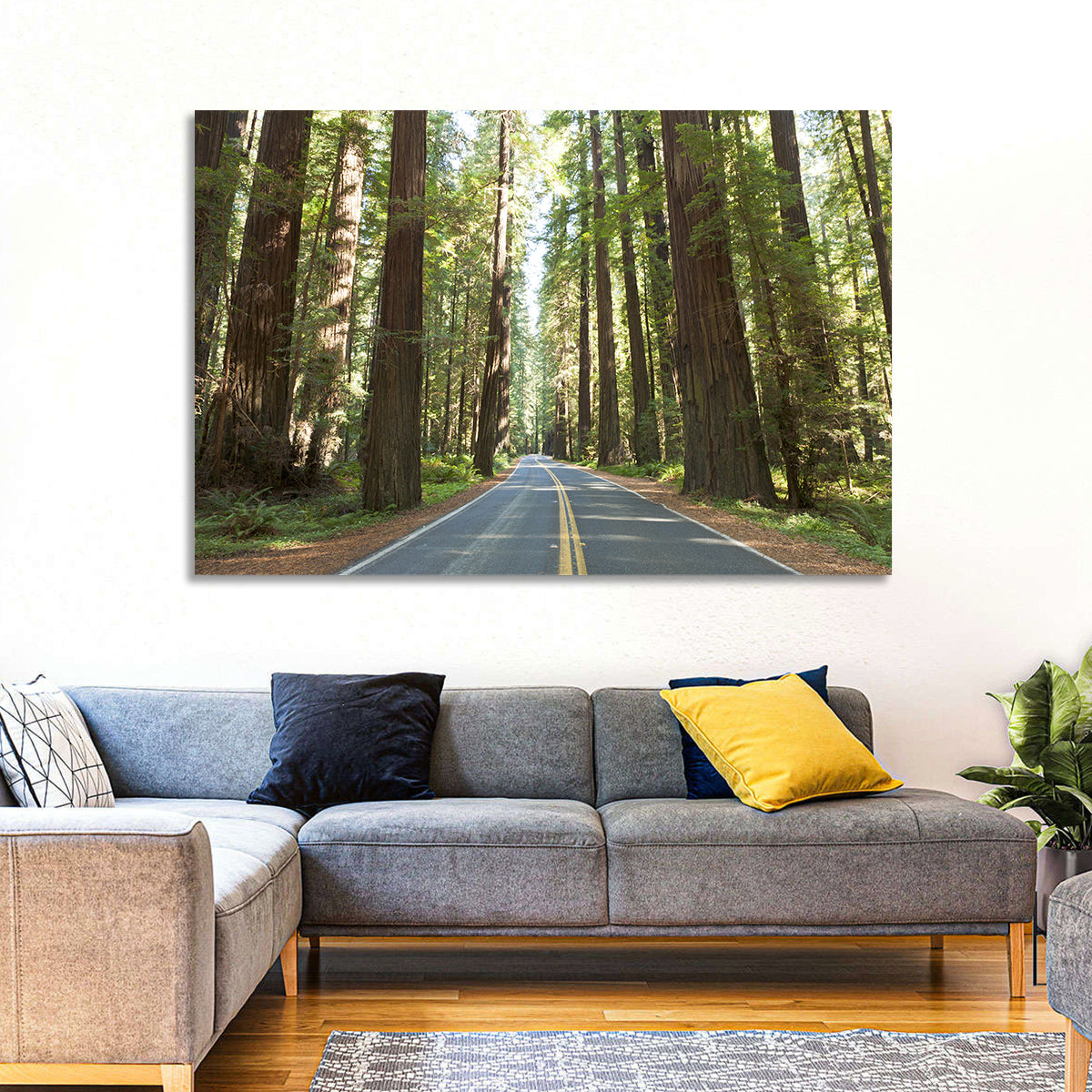 Giants Avenue Redwood Forest Road Wall Art in a room, landscape