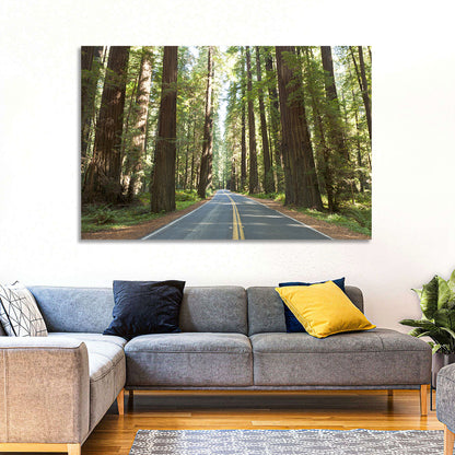 Giants Avenue Redwood Forest Road Wall Art
