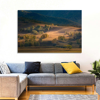 Bashang Plateau Golden Hour Wall Art