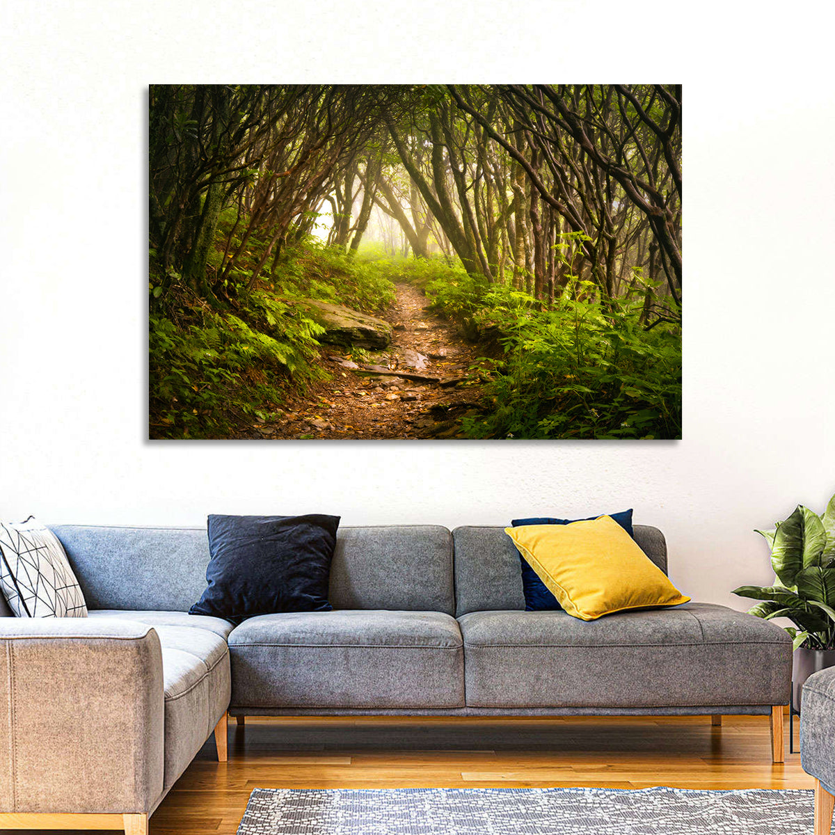 Craggy Gardens Hiking Trail Wall Art in a room, landscape