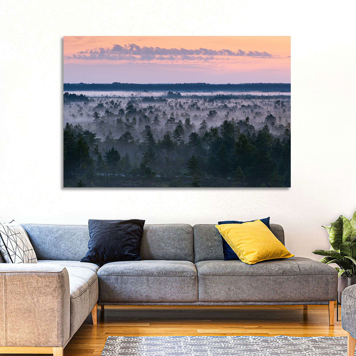 Estonian Misty Pine Landscape Wall Art