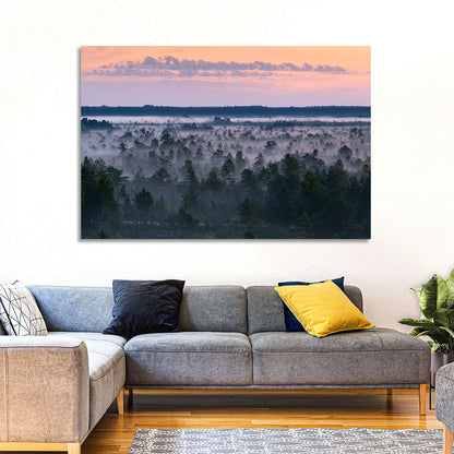 Estonian Misty Pine Landscape Wall Art