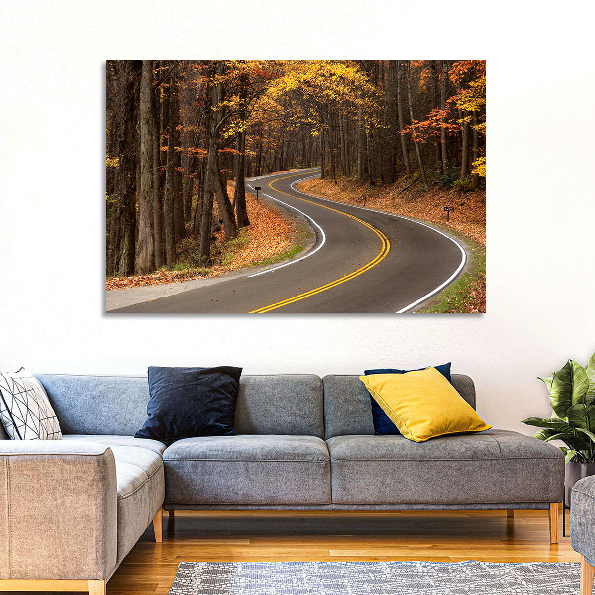 S-curve Road Through Autumn Forest Wall Art in a room, landscape