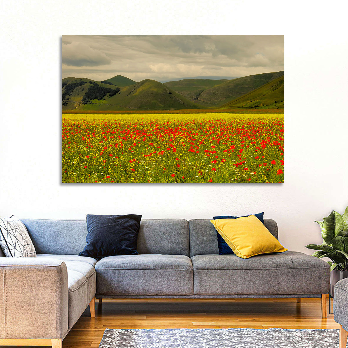 Castelluccio Wildflower Meadow Wall Art