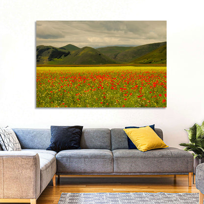 Castelluccio Wildflower Meadow Wall Art