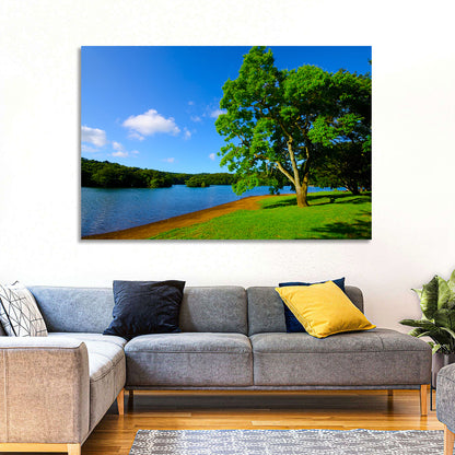 Lake Ippeki Solitary Tree Wall Art