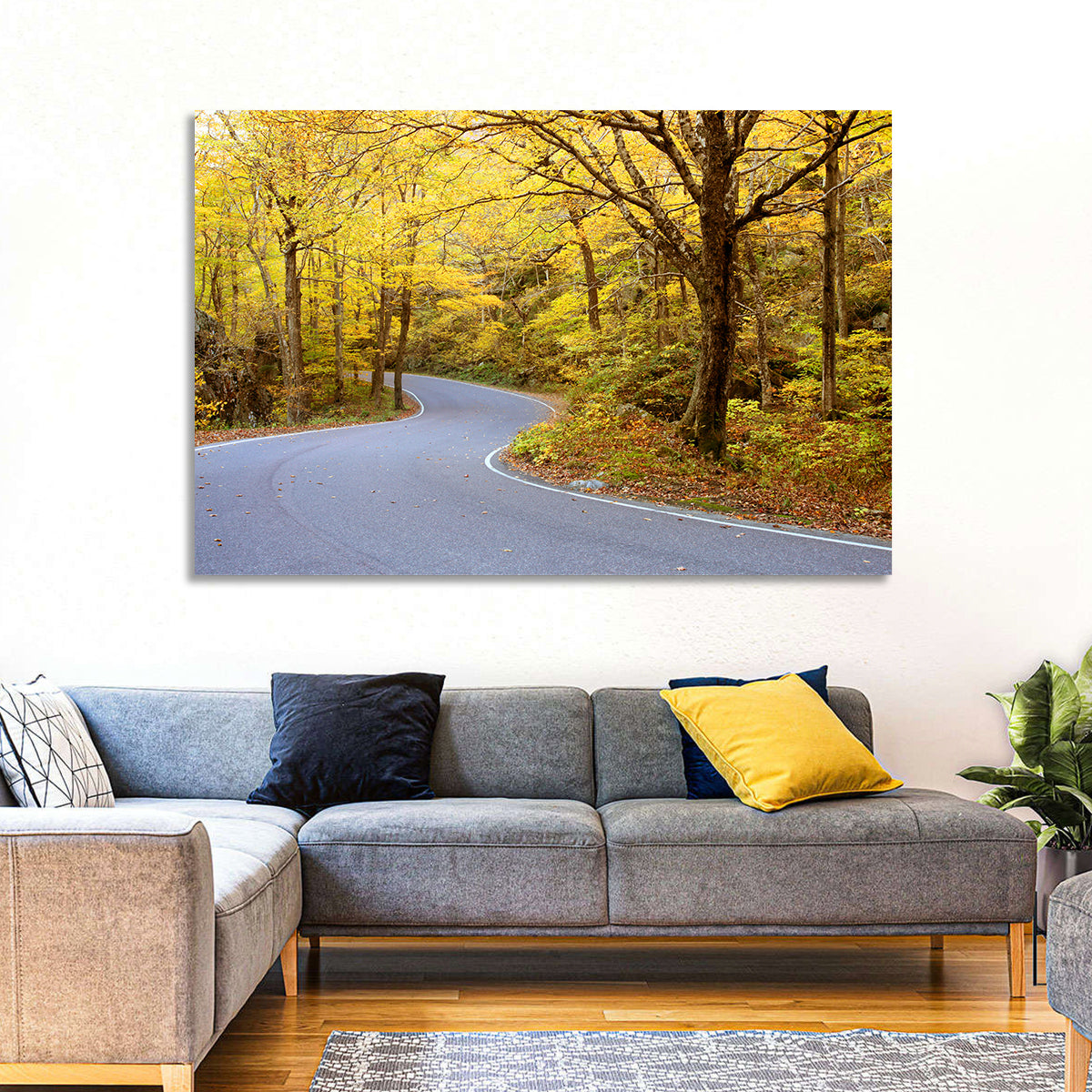 Winding Road Through Autumn Foliage Wall Art in a room, landscape