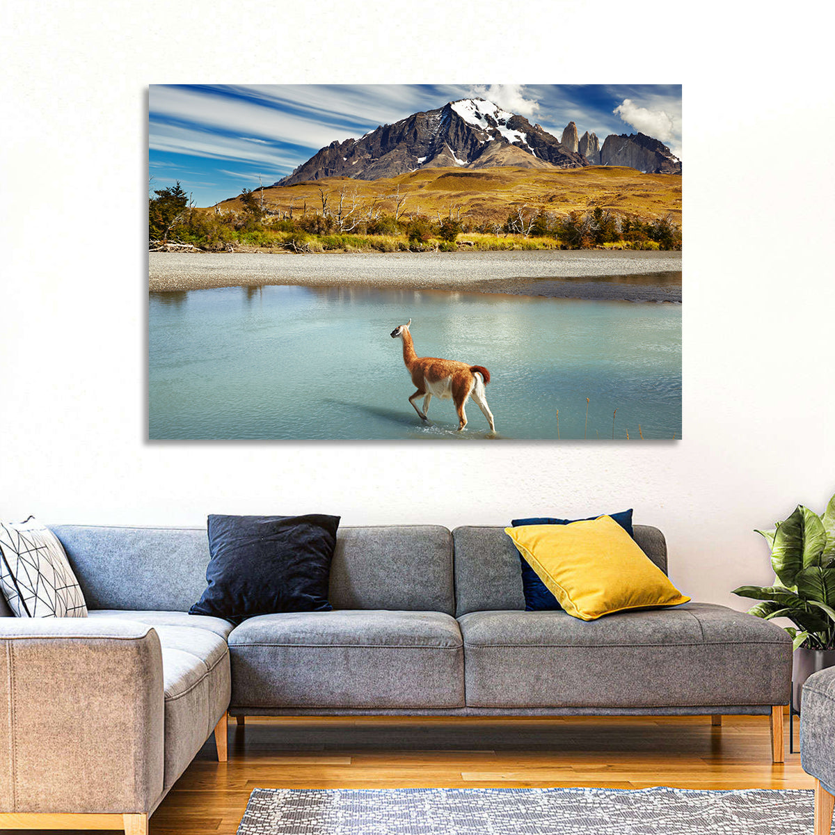 Torres Del Paine, Patagonia Wall Art in a room, landscape
