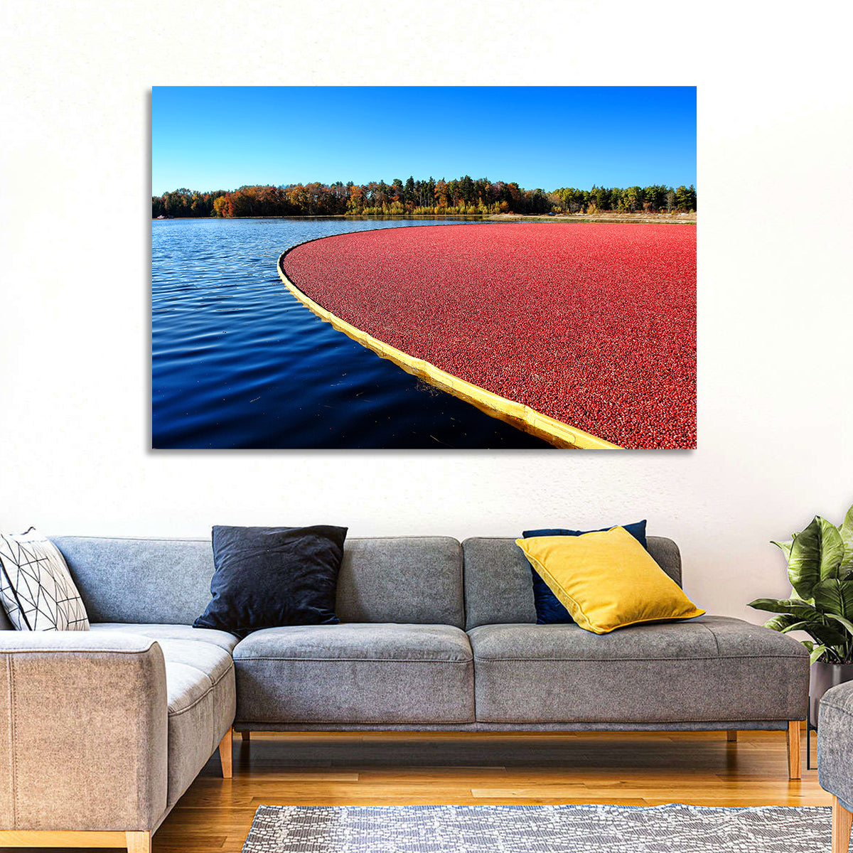 Flooded Cranberry Bog Wall Art in a room, landscape