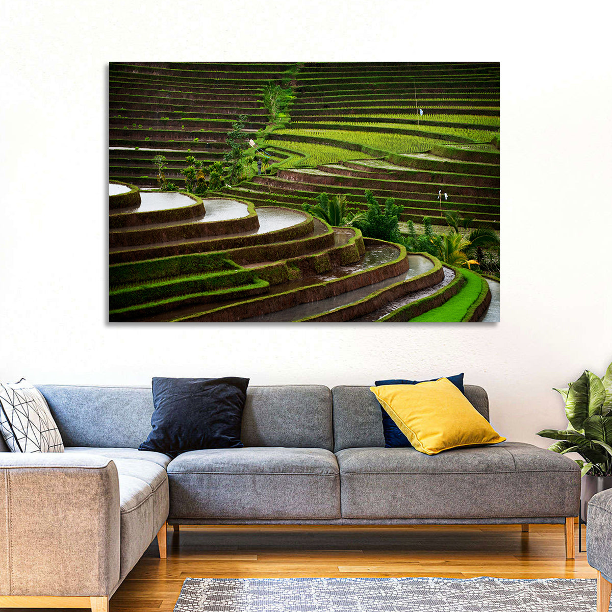 Lush Rice Terraces Wall Art in a room, landscape