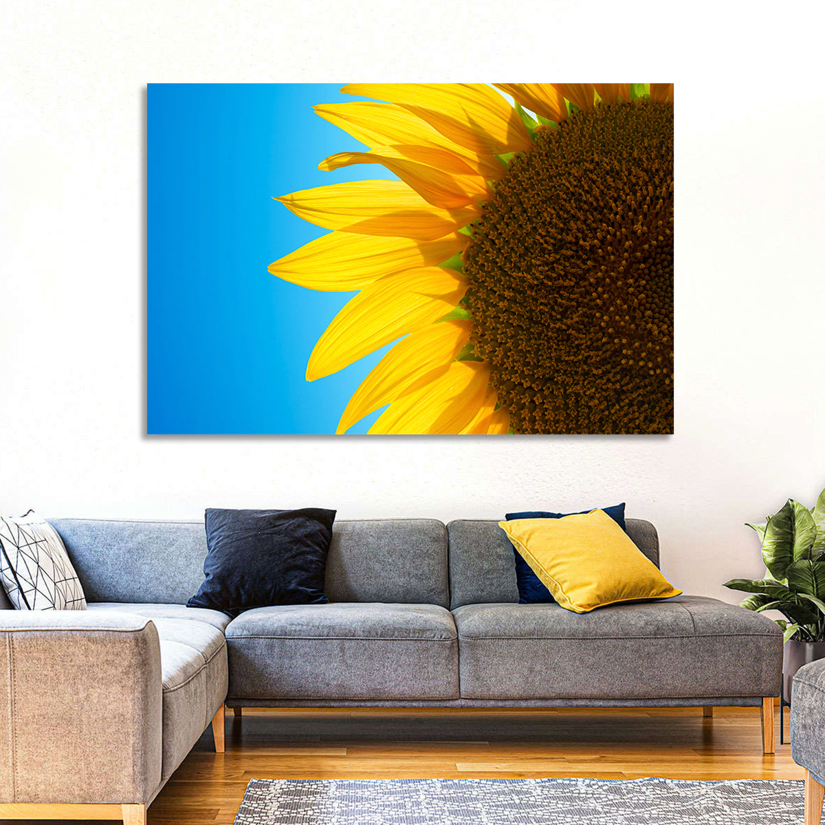 Sunflower Close-up Wall Art