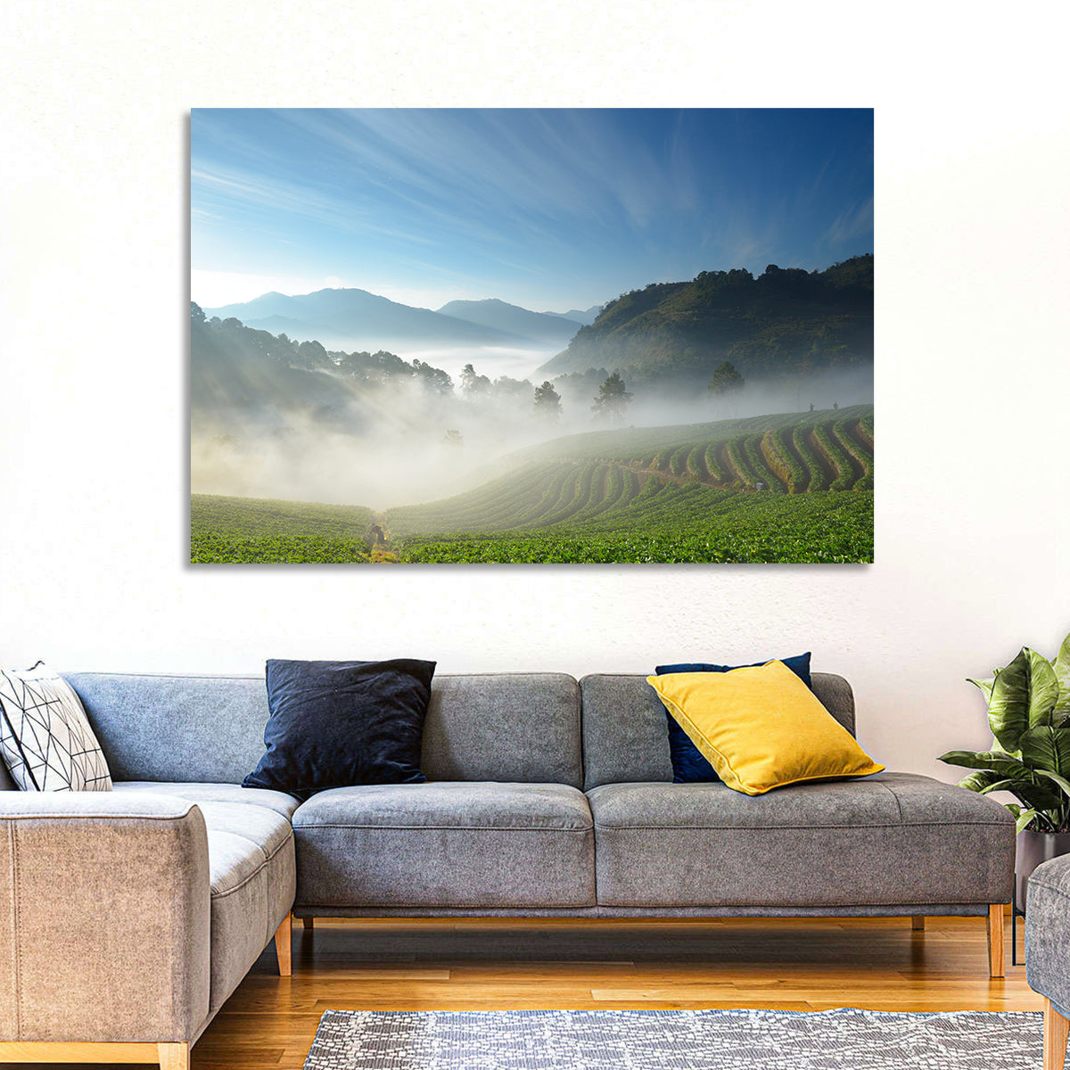 Sunlit Terraced Tea Hills Wall Art in a room, landscape