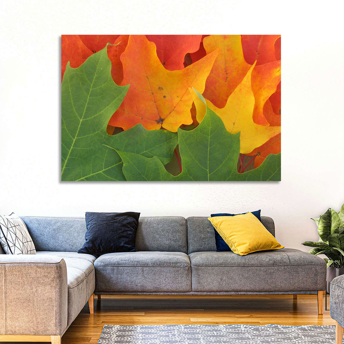 Autumn Maple Leaves Wall Art in a room, landscape