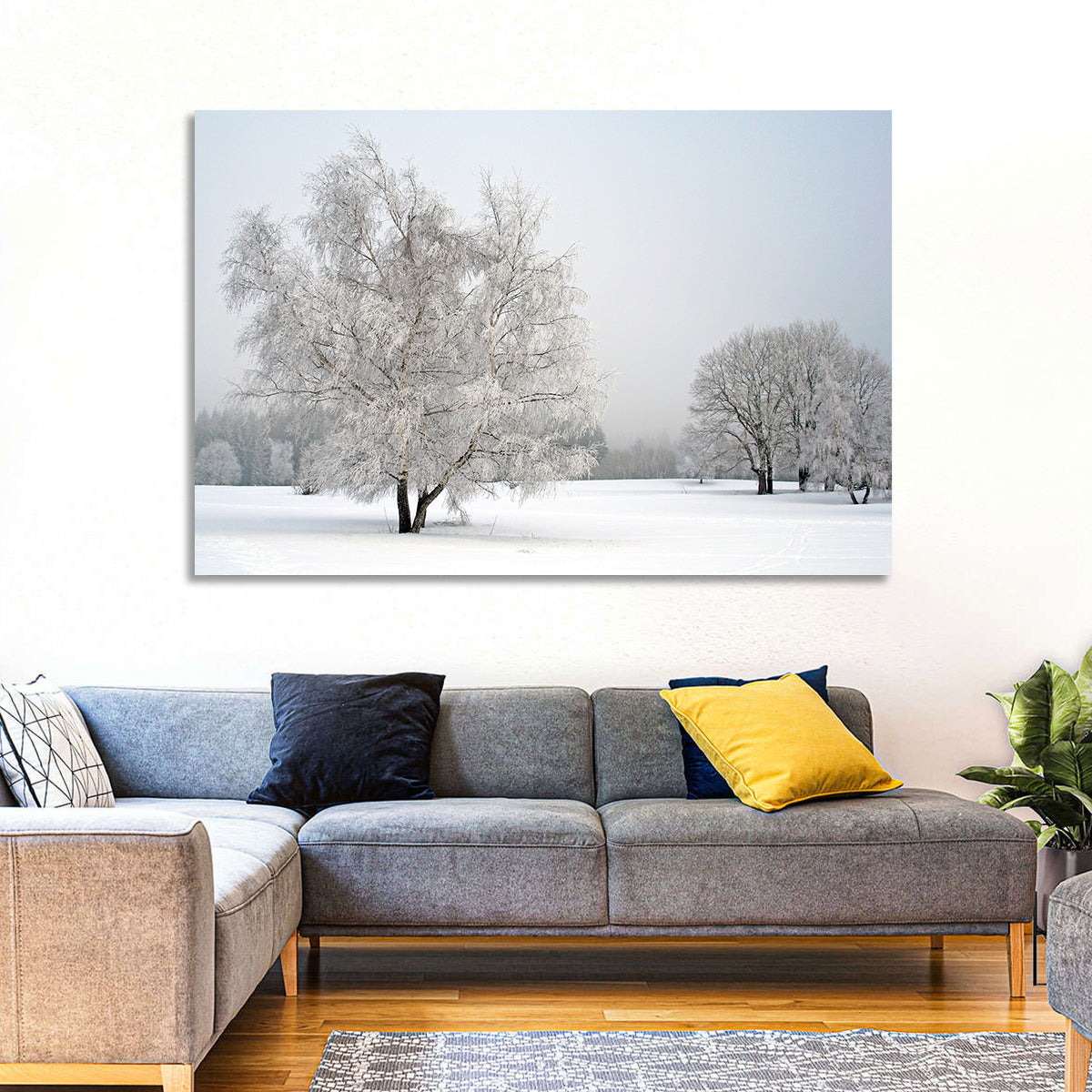 Frosted Birch Grove Wall Art