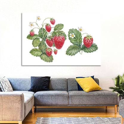 Fresh Strawberry Botanical Illustration Wall Art