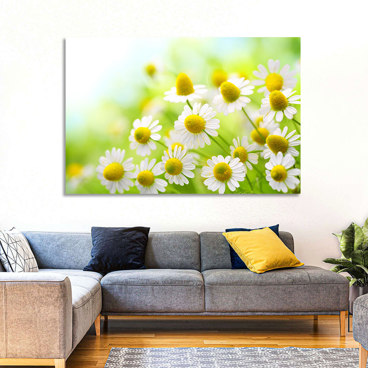Chamomile Close-up Wall Art