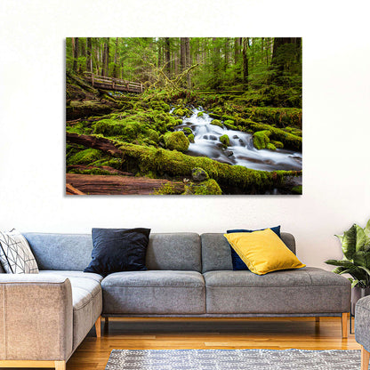 Mossy Cascade Forest Stream Wall Art