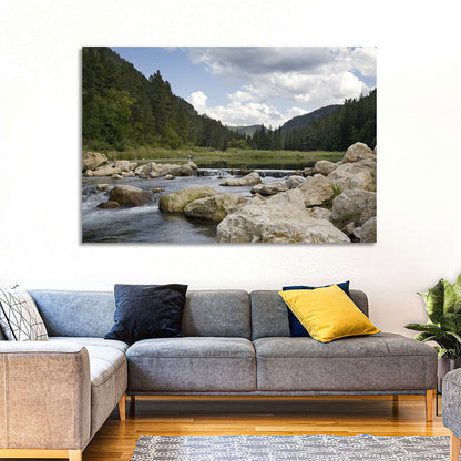 Spearfish Canyon, Black Hills Wall Art