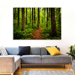 Shenandoah National Park Trail Wall Art