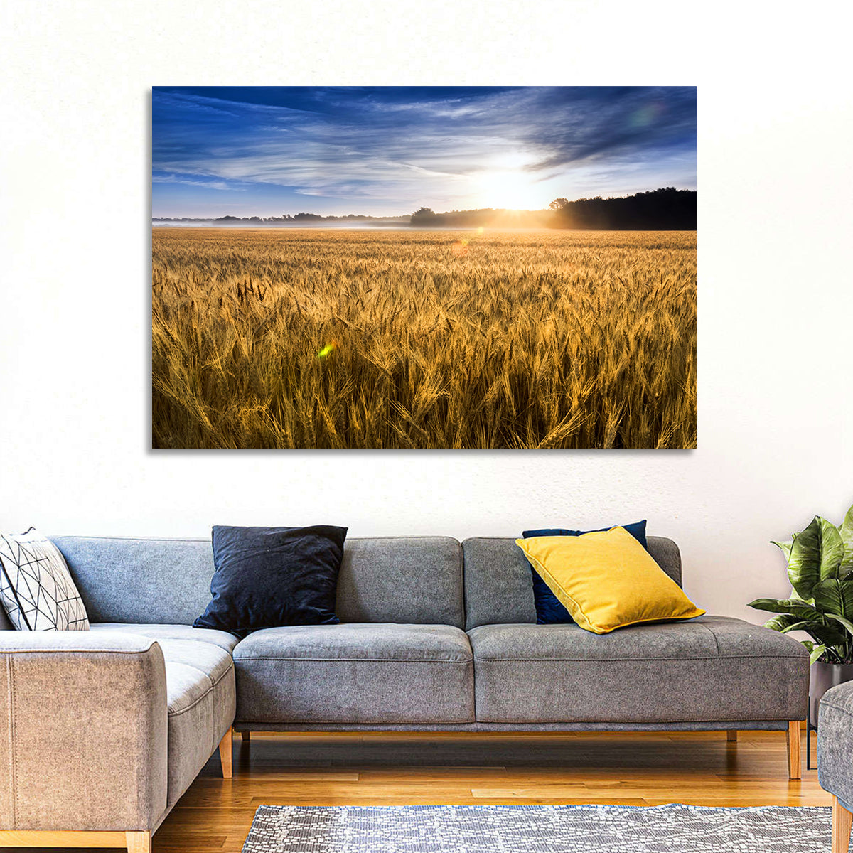 Golden Hour Wheat Field Wall Art