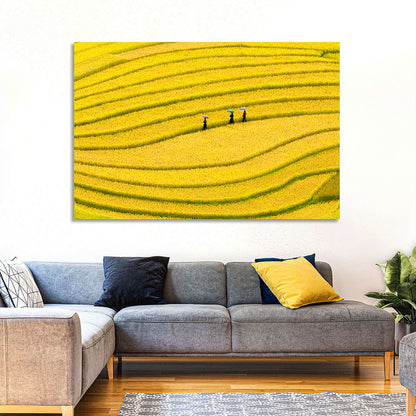 Golden Rice Terraces with Umbrellas Wall Art