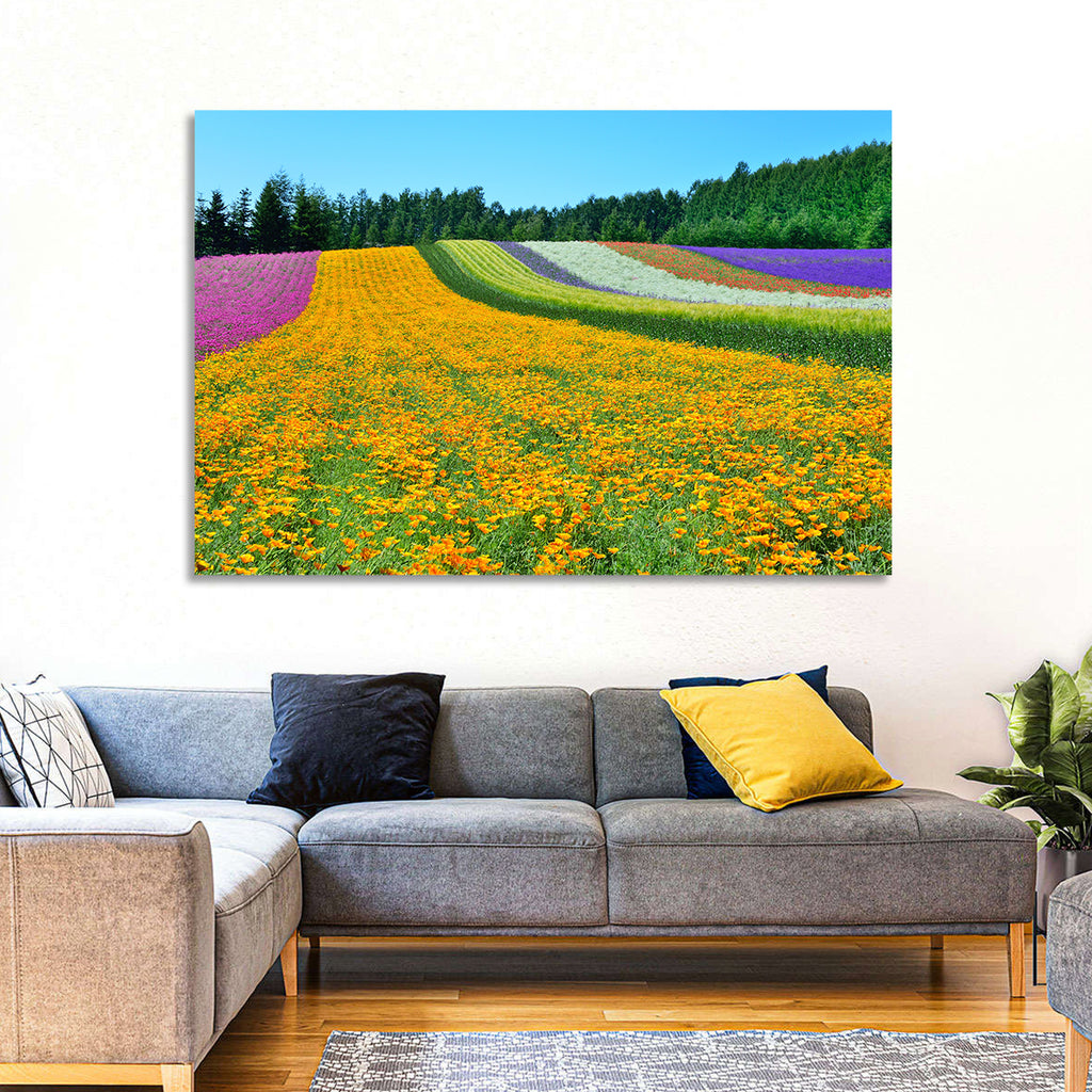 Tomita Flower Fields, Nakafurano Wall Art