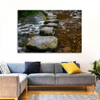 Mossy Stepping Stones Over Stream Wall Art