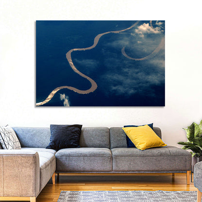 Sunlit Meander of the Amazon River Wall Art