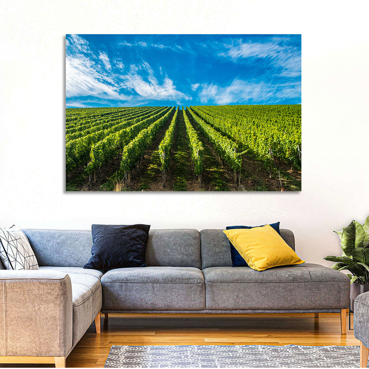 Luxembourg Vineyards Wall Art in a room, landscape