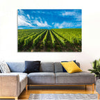 Luxembourg Vineyards Wall Art
