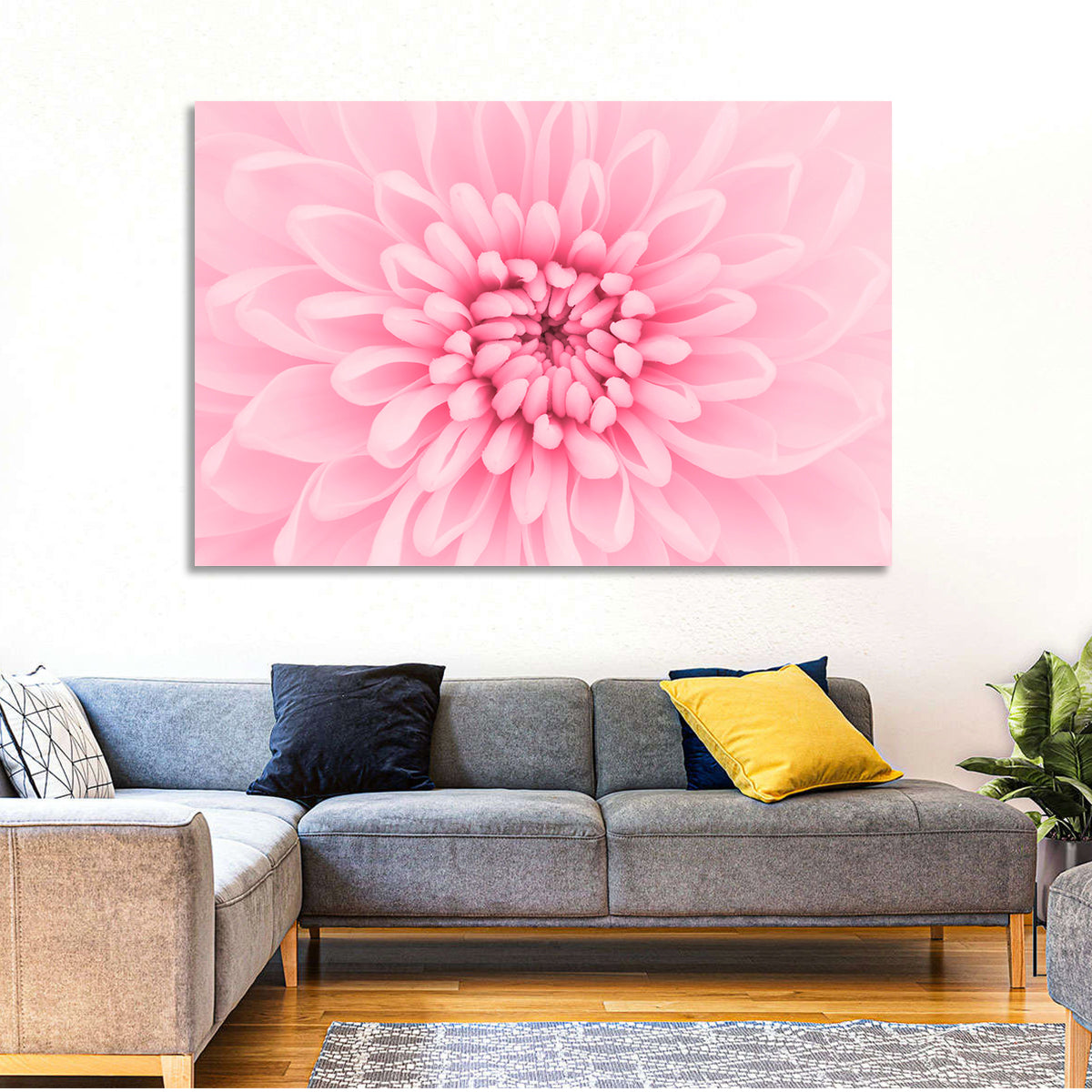 Pink Chrysanthemum Close-up Wall Art